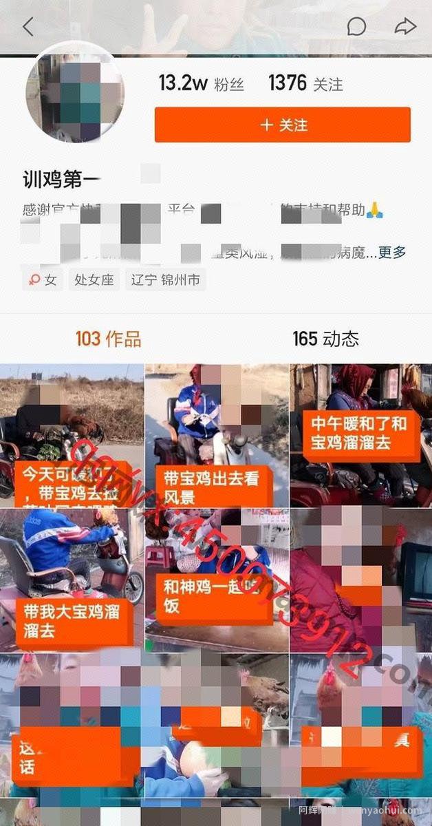 一个“傻子”都能做的项目，只要去做就有钱