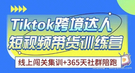 Tiktok海外精选联盟短视频带货百单训练营，带你快速成为Tiktok带货达人