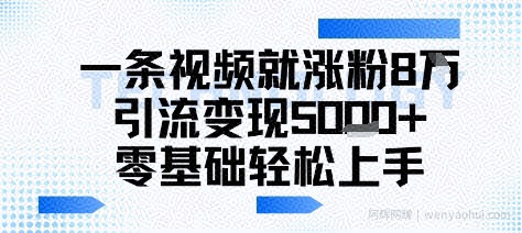 一条视频就涨粉8W引流变现5k+，0基础项目轻松上手