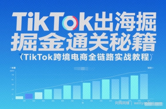 TikTok出海掘金通关秘籍，TikTok跨境电商全链路实战教程