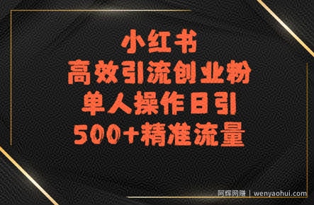 小红书高效引流创业粉，单人操作日引500+精准流量
