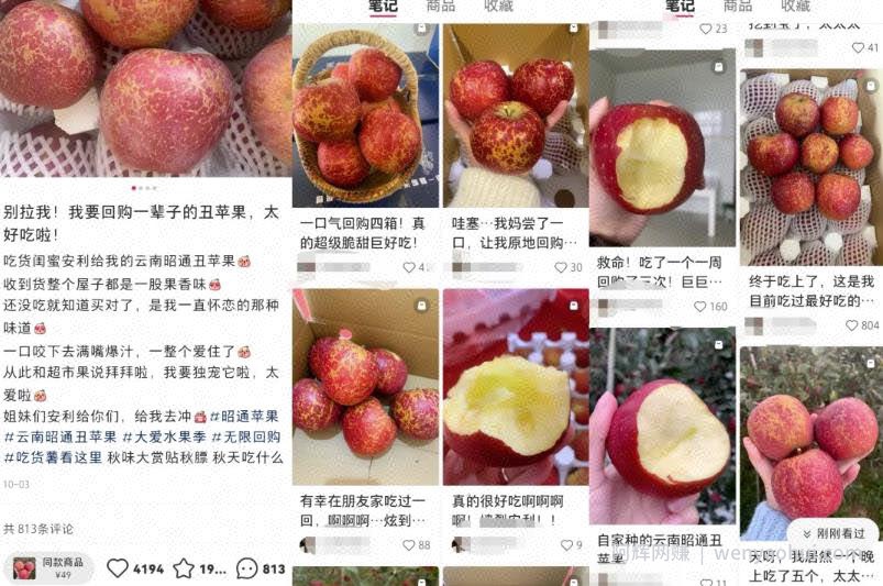 小红书水果赛道副业项目思路，小白都可以轻松日入500+，只要一台手机即可！