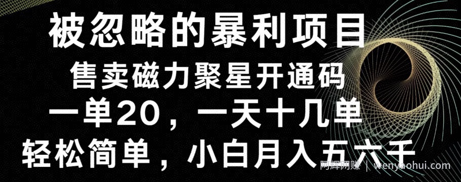被忽略的暴利项目!售卖磁力聚星开通码,一单20,一天十几单,轻松月入五六千