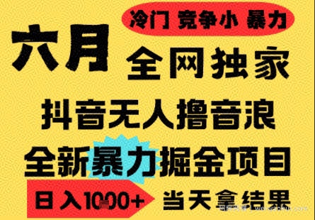 25年6月高爆抖音无人直播最新撸音浪掘金项目，小白可做，无脑日入1k+，门槛低可批量矩阵【揭秘】