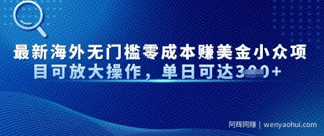 最新海外无门槛美金小众项目可放大操作，单日可达3张