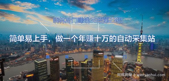 晓林冷门賺米36招第23招简单易上手，做一个年赚十万的自动采集站【视频课程】