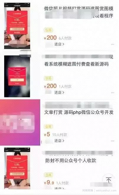 分享一个捞偏门暴利项目，遮图打赏月入3万，还不来了解下