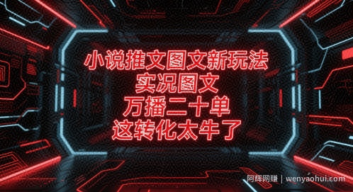 小说推文图文新玩法，实况图文，万播二十单，这转化太牛了！