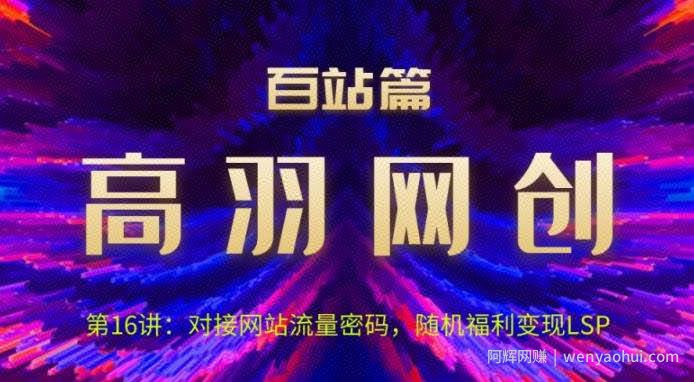 高羽网创百站篇第16讲：对接网站流量密码，随机短视频变现LSP【视频课程】