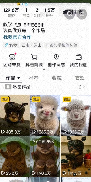 抖音65W博主AI萌宠课程，新赛道流量大，原创+二创，全套课程+提示词