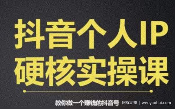 个人IP创富系统实战课，商业定位，流量打造，短视频变现，教你做个賺米的抖音号