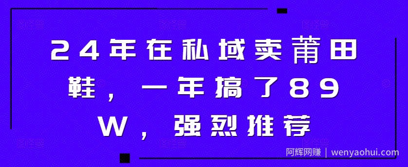 24年在私域卖莆田鞋，一年搞了89W，强烈推荐