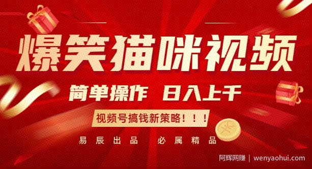爆笑猫咪视频：简单操作，日入过K，视频号搞钱新策略【揭秘】