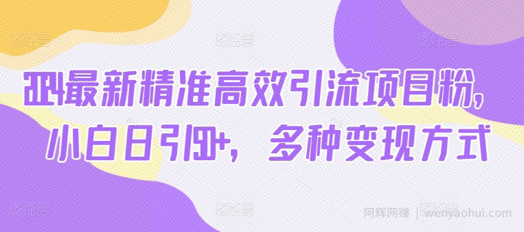 2024最新精准高效引流项目粉，小白日引50+，多种变现方式