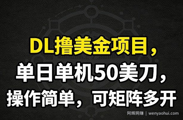 DL撸美金项目，单日单机50美刀，操作简单，可矩阵多开
