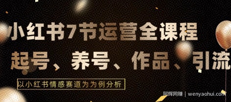 7节小红书运营实战全教程，结合最新情感赛道，打通小红书运营全流程【揭秘】