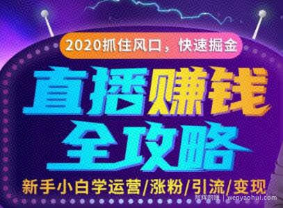 直播賺米攻略，教你涨粉/引流/带货/变现，轻松月入10万+！