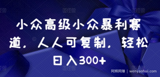 小众暴利赛道，人人可复制，轻松日入300+
