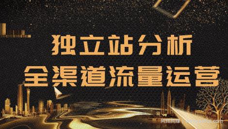 2020跨境电商未来出路，独立站精细化流量运营，手把手教你分析一个网站