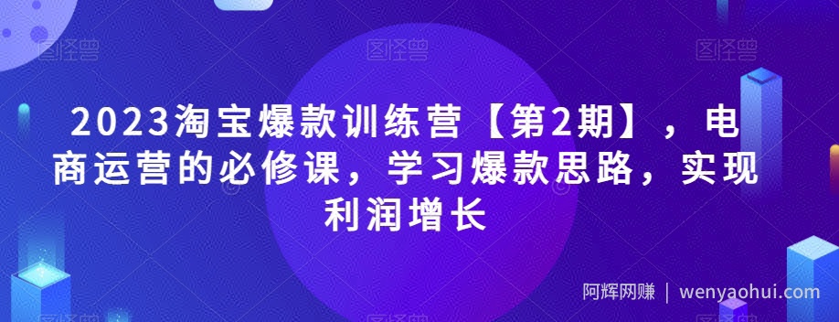 2023淘宝爆款训练营【第2期】，电商运营的必修课，学习爆款思路，实现利润增长