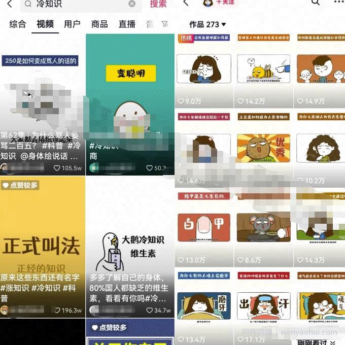 冷知识视频副业项目思路，轻松操作涨粉1万+，玩法无私分享给你