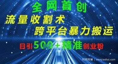 全网流量收割术：跨平台暴力搬运，日引500+精准创业粉