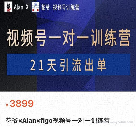 花爷×Alan×figo视频号训练营，带货，涨粉，直播，游戏，四大变现新方向，21天引流出单
