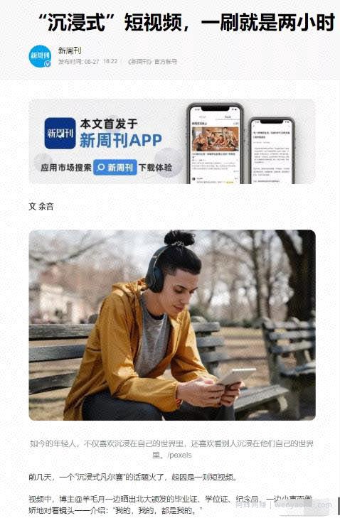 实在是没有賺米项目可以试试亚文化细分领域賺米，做好了半自动化收益