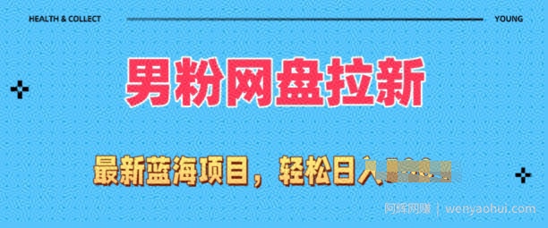 全网最新男粉项目，网盘拉新玩法，小白也可上手操作