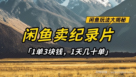 闲鱼卖纪录片1单3块钱，1天几十单，项目稳定有潜力