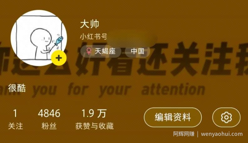 快速涨粉变现的项目，小红书视频号，月增收入10000+