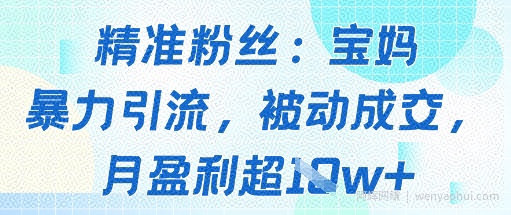 精准粉丝：宝妈暴力引流方法，被动成交，月盈利超1w+
