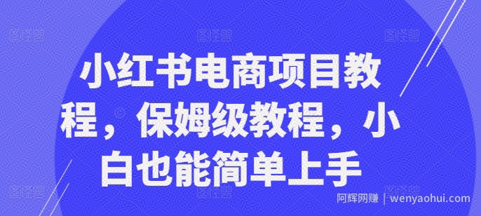 小红书电商项目教程，保姆级教程，小白也能简单上手