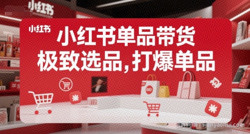 小红书单品带货，极致选品，打爆单品（更新）