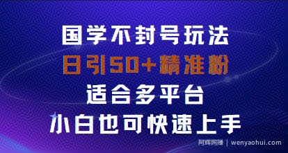 国学赛道不封号玩法，日引50+精准粉适合多平台，小白也可快速上手