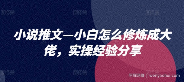 小说推文—小白怎么修炼成大佬，实操经验分享
