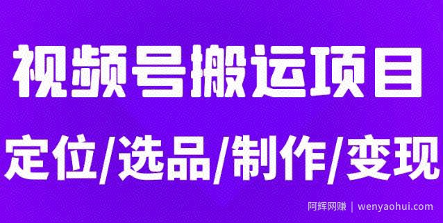 从0到1玩转视频号，月入5位数的视频号搬运项目，定位+选品+制作+变现全流程