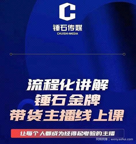 锤石传媒婉婉·金牌带货主播线上课，流程化讲解，打造金牌带货主播