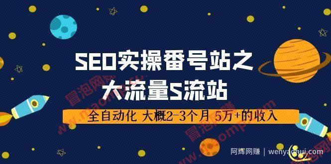 SEO实操番号站之大流量色流站，全自动化 大概2-3个月 5万+的收入