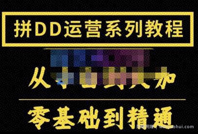 2022全套拼多多核心实操课程，从0-1轻松起链接实战，低投入高产出运作店铺