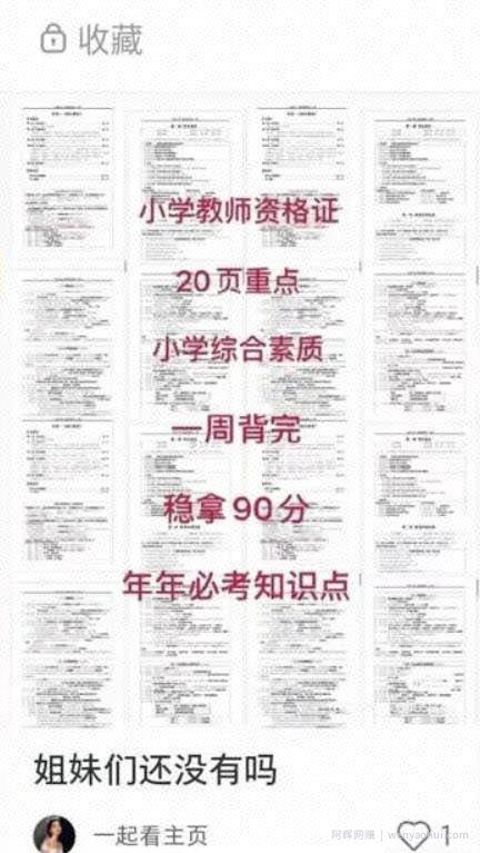 小红书虚拟资源项目详细教程，一个稳赚不赔的好项目