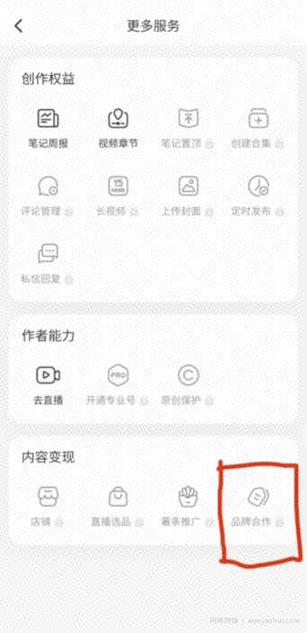 日赚600+的小红书起号技巧，你一定要来看看