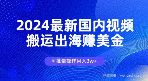 2024最新国内视频搬运出海赚美金，可批量操作月入3w