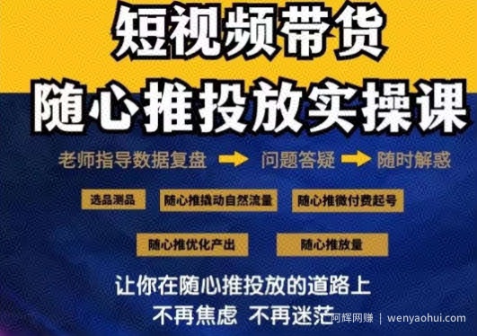 2024好物分享随心推投放实操课，随心推撬动自然流量/微付费起号/优化产出