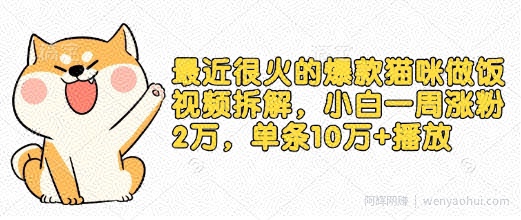 最近很火的爆款猫咪做饭视频拆解，小白一周涨粉2万，单条10万+播放(附保姆级教程)
