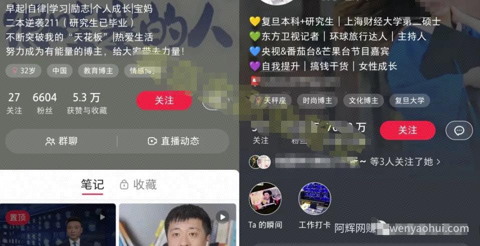 小红书个人IP模板+发布最佳时间，轻松打造高质量账号，玩法无私分享给你