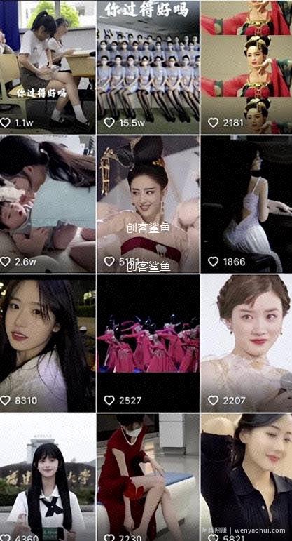 视频号无脑搬运项目，轻松起号，掌握流量密码
