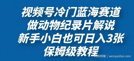 视频号冷门蓝海赛道，做动物纪录片解说，新手小白也日入3张，保姆级教程