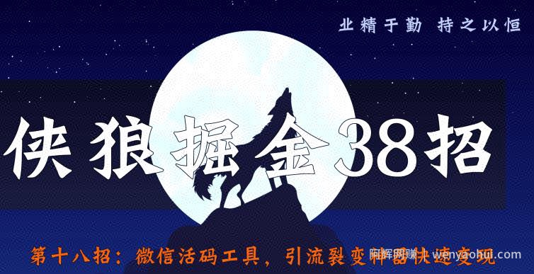 侠狼掘金38招第18招微信活码工具，引流裂变神器快速变现【视频课程】