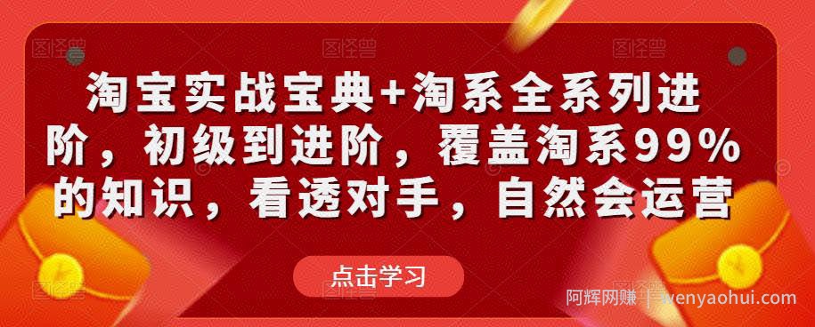 淘宝实战宝典+淘系全系列进阶，初级到进阶，覆盖淘系99%的知识，看透对手，自然会运营
